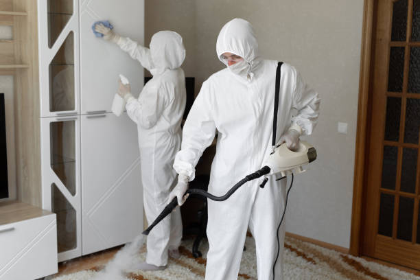 Best Basement Mold Remediation in Edgerton, WI