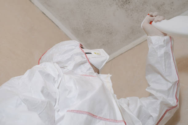Best Localized Mold Remediation (e.g., coastal areas, humid climates) in Edgerton, WI