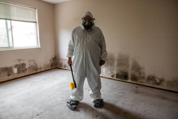 Best Residential Mold Remediation in Edgerton, WI