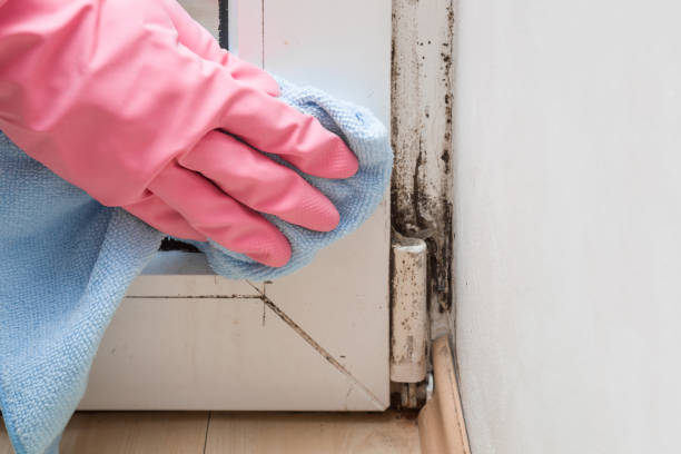 Edgerton, WI Mold Remediation Company